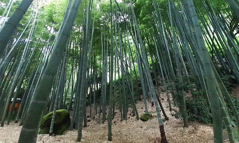 628a5ca50810be83f471bf3b27079a1e