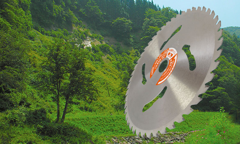 8810dc73891f0f9f83fe0a419ac3255b-2