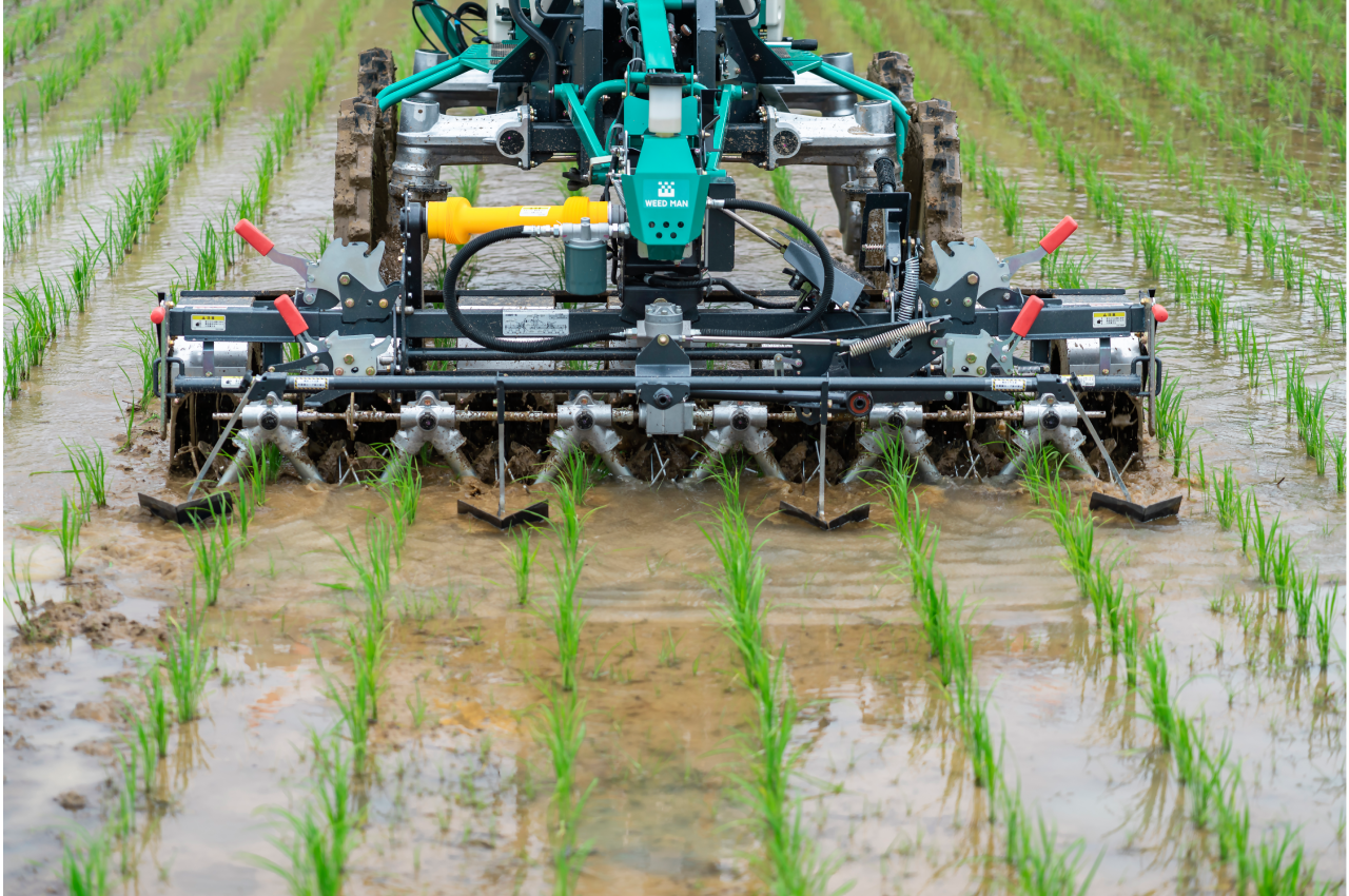 ALL_catalog_25K18_gtc0CuZHMS