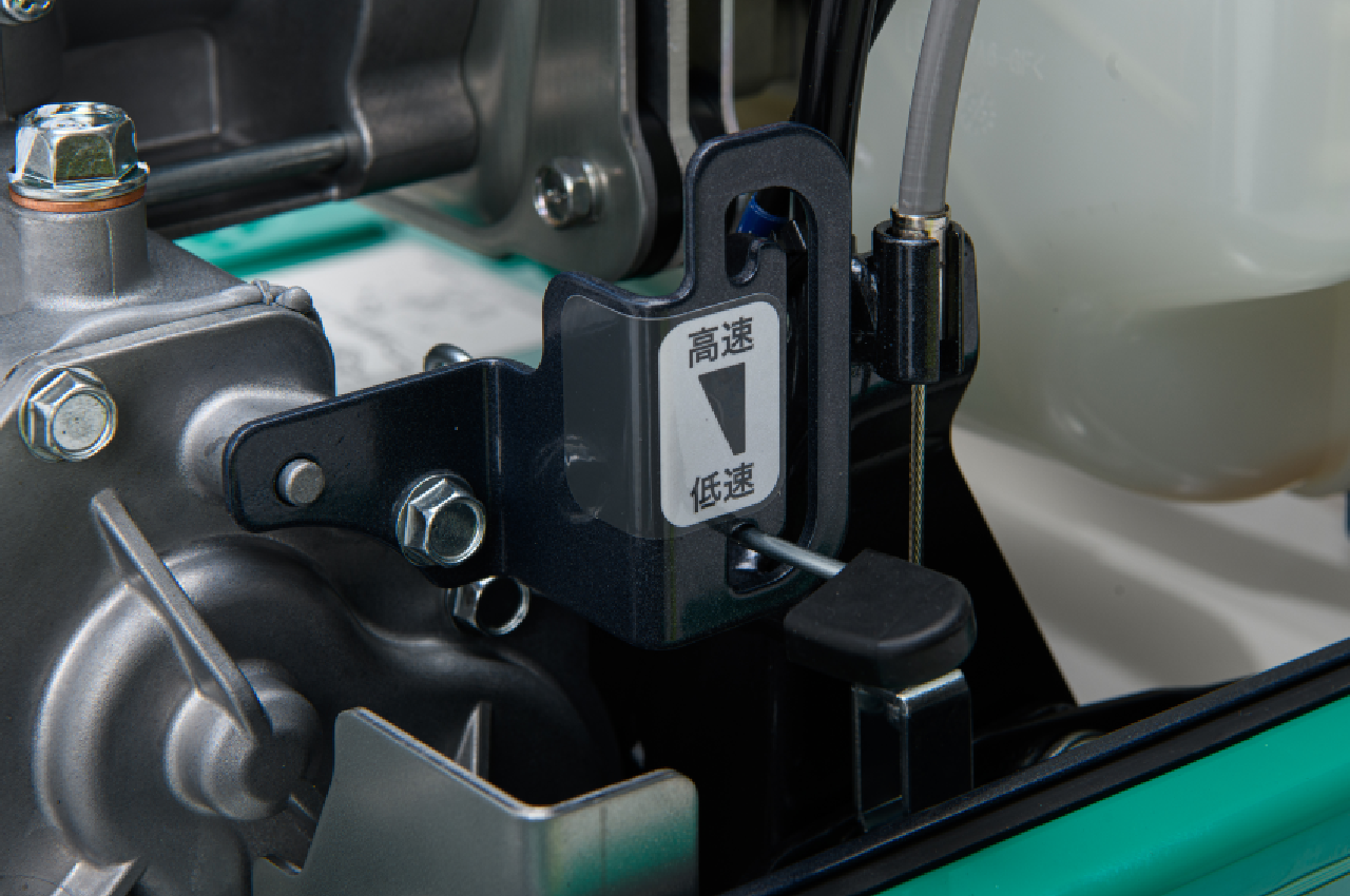 ALL_catalog_25L04_MG2ZLeVTe0