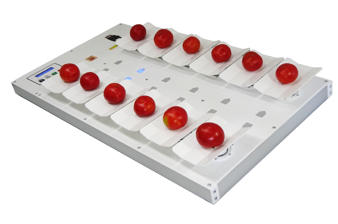 ALL_catalog_25L12_c7Hfb8diRR