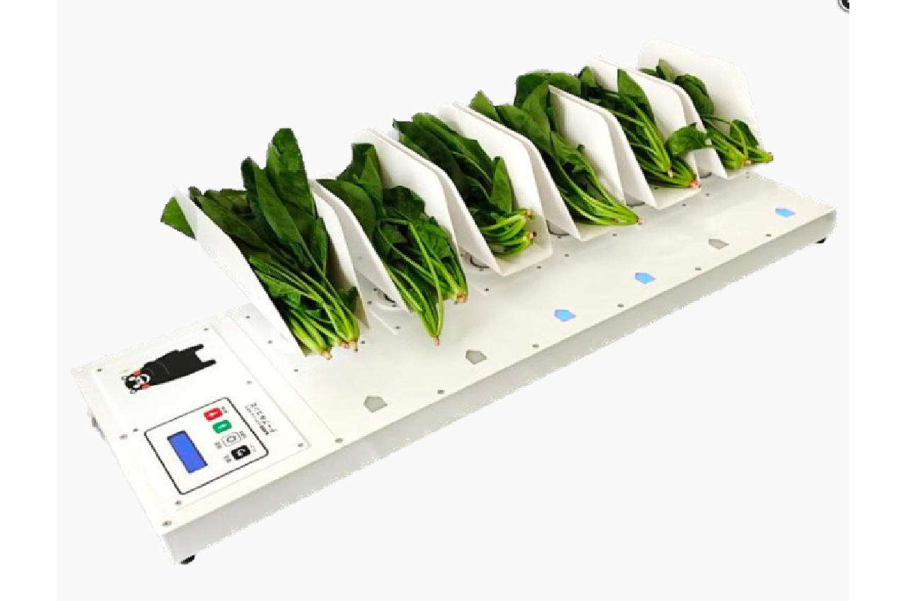 ALL_catalog_25L12_yQ11PxpJZp