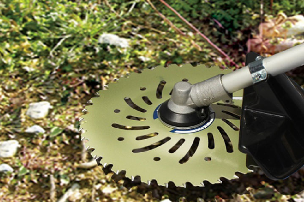 ALL_catalog_25L15_bQpAaR6QVG