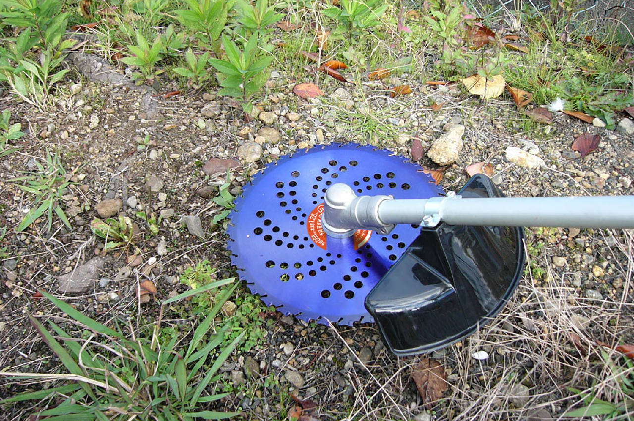 ALL_catalog_25L15_iyD1zgpT1a