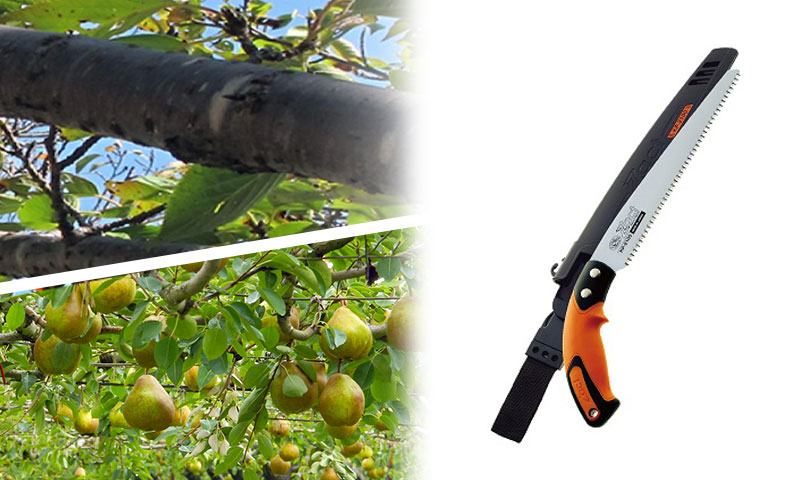 ALL_catalog_26B11_0mosLh1rEx