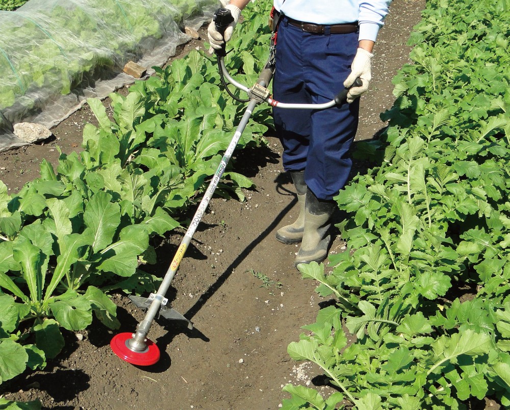 ALL_catalog_26B12_UKmBpuEgK7