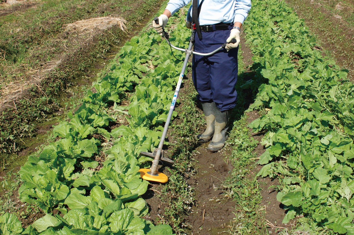 ALL_catalog_26B12_VzjVP4kukc