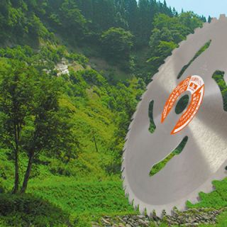 8810dc73891f0f9f83fe0a419ac3255b-2