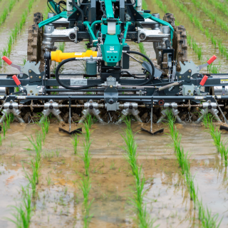 ALL_catalog_25K18_gtc0CuZHMS