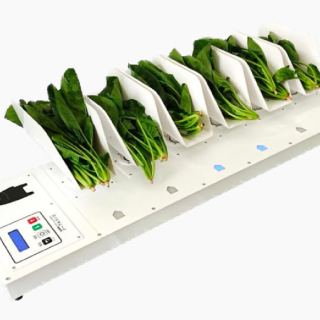 ALL_catalog_25L12_yQ11PxpJZp