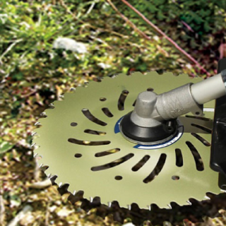 ALL_catalog_25L15_bQpAaR6QVG