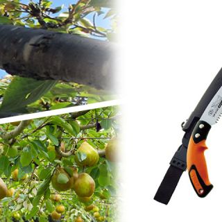 ALL_catalog_26B11_0mosLh1rEx