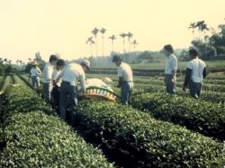 站在台灣農業的浪頭
與農民站在同⼀⽅
幫助台灣農業解決問題