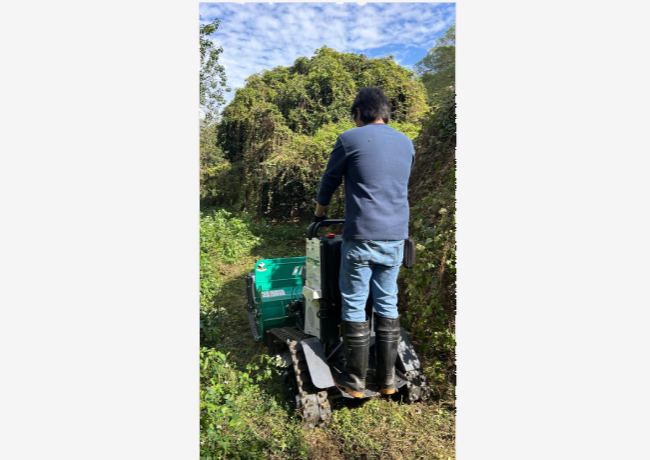 荒地變良田的秘密武器！長草藤蔓瞬間打碎